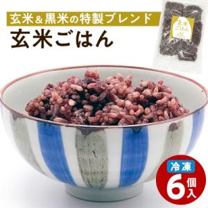 ふるさと納税 鹿児島市 冷凍玄米ごはん　6個パック　K182-002