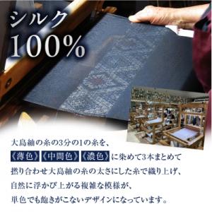 ふるさと納税 鹿児島市 CHANCE(シャンス...の詳細画像1