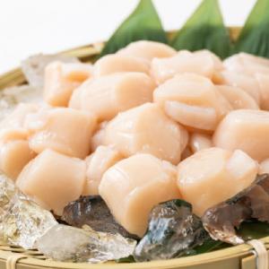 ふるさと納税 紋別市 大粒!冷凍帆立貝柱1kg×1 | ホタテ ほたて 玉冷 | ホタテ ほたて 玉冷★