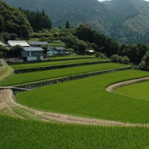 ふるさと納税 奈半利町 【応援寄附金】高知県奈...の詳細画像2