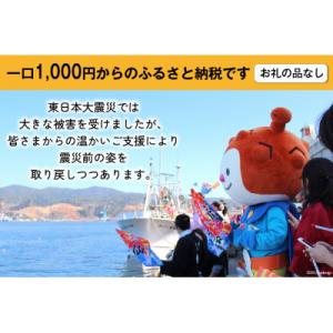 ふるさと納税 気仙沼市 気仙沼市への応援寄付(...の詳細画像1