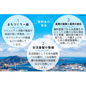ふるさと納税 気仙沼市 気仙沼市への応援寄付(...の詳細画像2
