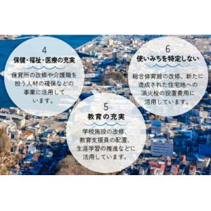 ふるさと納税 気仙沼市 気仙沼市への応援寄付(...の詳細画像3
