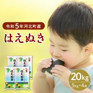 ふるさと納税 河北町 【令和5年産米】2024年5月中旬発送 はえぬき20kg 山形県産【JAさがえ...