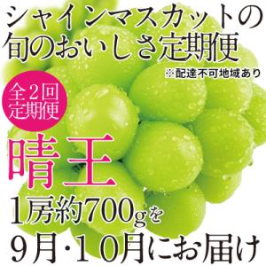 ふるさと納税 瀬戸内市 9~10月発送 シャイン マスカット 晴王 1房 約700g 岡山県産 [N...