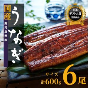 【数量限定】鹿児島県産うなぎ長蒲焼6尾　 (合計600g以上)
