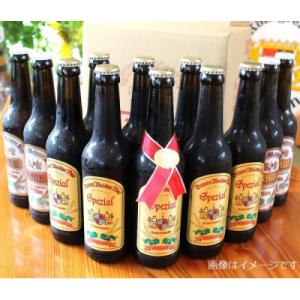 ふるさと納税 富士宮市 富士山の水を使った地ビール　バイエルンマイスタービール　12本セット