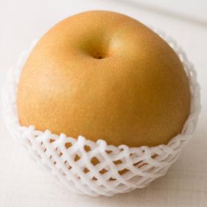 ふるさと納税 三条市 先行受付 和梨 あきづき...の詳細画像1