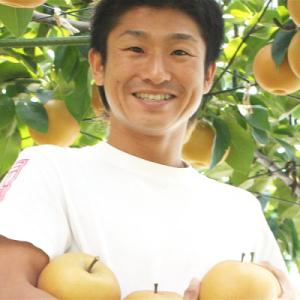 ふるさと納税 三条市 先行受付 和梨 あきづき...の詳細画像2