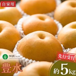 先行受付 和梨 豊水 自家用 5kg  [三条果樹専門家集団] 【010P055】
