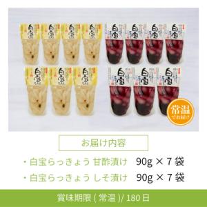ふるさと納税 南さつま市 【鹿児島県産】白宝ら...の詳細画像1
