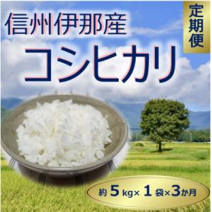 ふるさと納税 伊那市 精米したてを毎月お届け!　信州伊那　田原米　コシヒカリ(毎月5kg×1袋をお届...