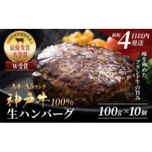 ふるさと納税 加西市 神戸牛 ハンバーグ 100g×10個 国産 普段使い [No5698-1275...