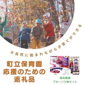 ふるさと納税 佐久穂町 大自然に囲まれながら、子育てができる町立保育園応援+プルーン三昧セット〔SA...