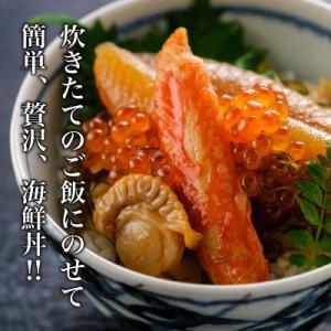 ふるさと納税 函館市 【道水】絢爛漬け500g...の詳細画像1