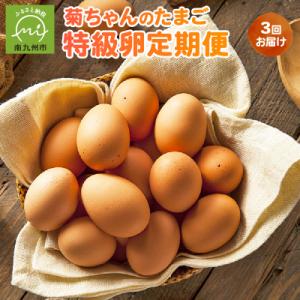 ふるさと納税 南九州市 【全3回】菊ちゃんのたまご(特級卵)定期便