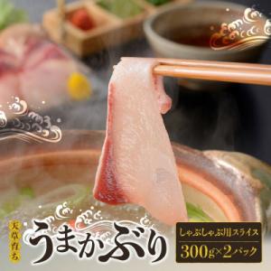 【天草育ち/産地直送】活じめ!うまかぶりしゃぶしゃぶ用スライス　300g×2P_S137-007