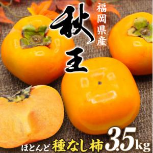 福岡県ブランド　高級柿【秋王】3.5kg【JAほたるの里】_HA1352