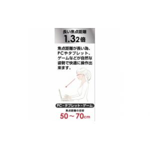 ふるさと納税 印西市 ハズキルーペ クール カ...の詳細画像1