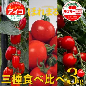 ふるさと納税 南幌町 北海道産 完熟 ミニトマト3種セット 合計3kg (アイコ・ほれまる・ラブリー藍 各1kg) 南幌町