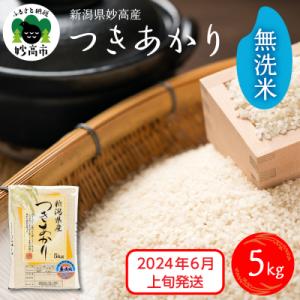 ふるさと納税 妙高市 【2024年6月上旬発送】新潟県妙高産つきあかり5kg無洗米