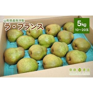 西洋梨(ラ・フランス)5kg　ご家庭用　0037-2609
