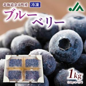冷凍ブルーベリー 250g×4パック 北海道余市町産_Y010-0344