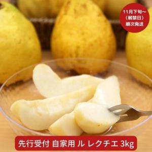 先行受付 ル レクチェ 自家用 約3kg 洋梨 JGAP認証農場 幻の西洋梨 【010P067】