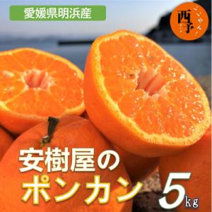 ふるさと納税 西予市 安樹屋　愛媛県明浜産　ポンカン　5kg(家庭用)