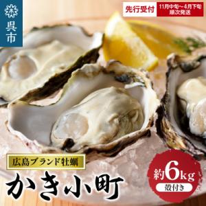 ふるさと納税 呉市 丸十水産 広島ブランド牡蠣 殻付き