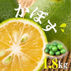 【先行受付】素材を活かす名脇役 大分県産かぼす1.8kg_2254R