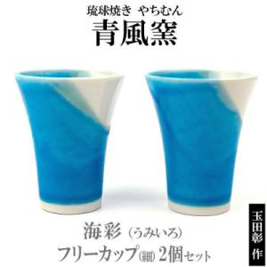 ふるさと納税 恩納村 【青風窯:玉田　彰作】海彩(うみいろ)フリーカップ(細)2個 セット