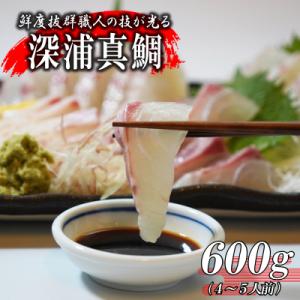 訳あり 真鯛 タイ お刺身 約600g 皮引き 柵 不揃い 小分け 真空パック 新鮮 鮮魚 養殖 カ