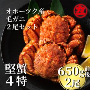 ふるさと納税 紋別市 北海道産ボイル毛がに 大サイズ2尾入り(1尾約650g前後)