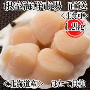ふるさと納税 根室市 ＼漁業者応援品/お刺身用ほたて貝柱1.2kg