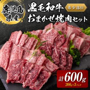 ふるさと納税 鹿児島市 鹿児島県産黒毛和牛おまかせ焼肉600g 　K208-015