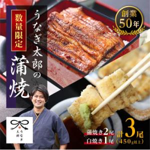 ふるさと納税 大崎町 【蒲焼き2尾　白焼き1尾　計3尾セット】創業50年・職人による手焼き　大隅産う...