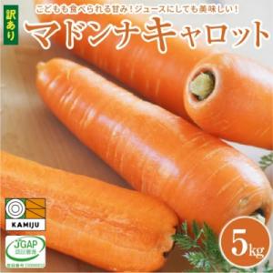 ふるさと納税 碧南市 訳あり!こどもも食べられる甘み!「マドンナキャロット」 5kg にんじん 野菜...