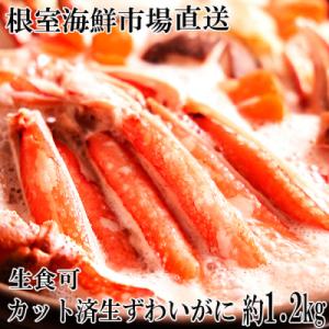 ふるさと納税 根室市 ＜12/10まで年内配送＞生食可!カット済み生ずわいがに約1.2kg B-14...