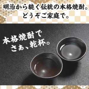 ふるさと納税 曽於市 麦焼酎「麦王パック25%...の詳細画像3