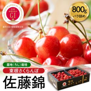 【2027年産】GI東根さくらんぼ「佐藤錦」800g バラ詰め 東根市 hi001-039-r9