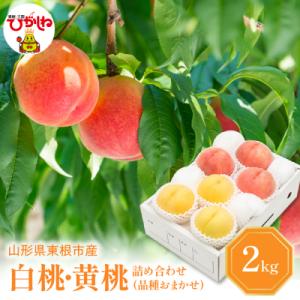 【2026年産】 白桃&黄桃 詰め合わせ(品種おまかせ)2kg 秀品 化粧箱入り hi027-263