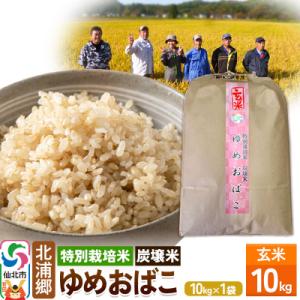 ふるさと納税 仙北市 【特別栽培米 炭壌米 ゆめおばこ】令和5年産 玄米 10kg|02_kum-0...