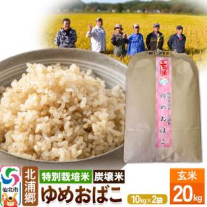 ふるさと納税 仙北市 【特別栽培米 炭壌米 ゆめおばこ】令和5年産 玄米 10kg2袋|02_kum...