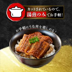 ふるさと納税 大崎町 【さとふる限定】鹿児島県...の詳細画像2