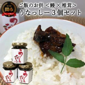 ふるさと納税 関市 うなぎを使ったご飯のお供 うなっしー　120g×3個