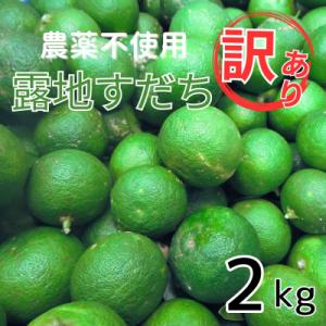 ふるさと納税 佐那河内村 『先行受付』訳あり【B級】露地スダチ2kg　※2024年9月頃から発送　※...