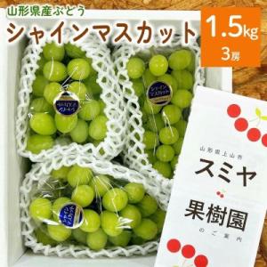 ぶどう(シャインマスカット)1.5kg(房小さめ)　0047-2610