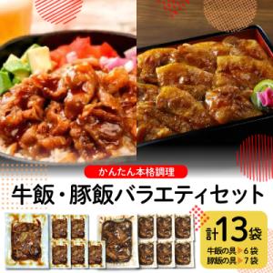 ふるさと納税 東根市 かんたん本格調理　牛飯・豚飯バラエティセット hi010-006