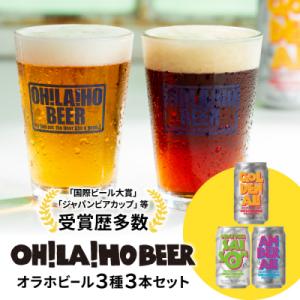 【クラフトビール】3種3本 飲み比べお試しセット(ゴールデンエール、アンバーエール、ヌーベルセゾン)